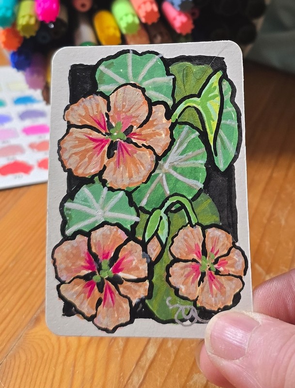 ACEO Acrylic Painting Salmon Pink Nasturtiums signed original approx. 2.5x3.5 in gallery
