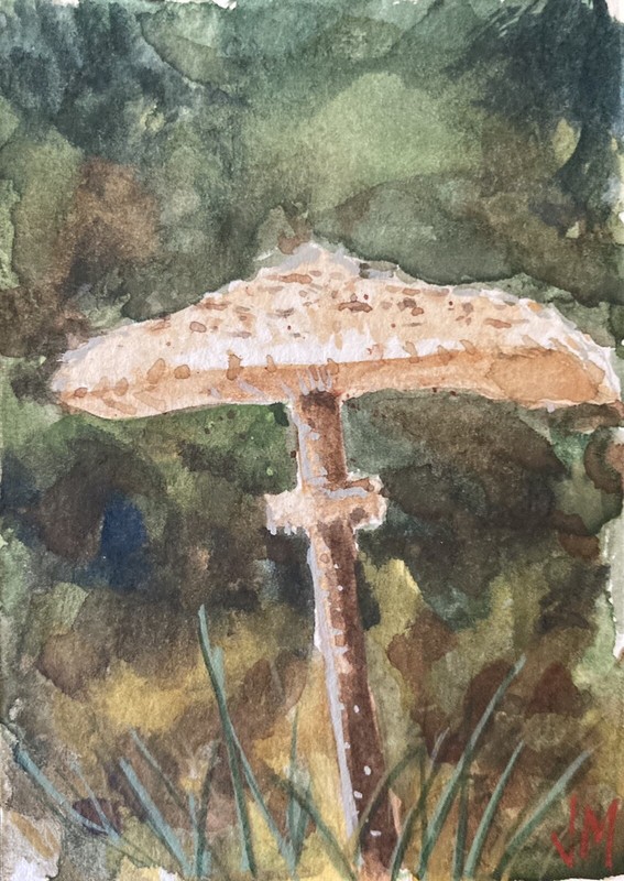 ACEO Original Watercolor Painting art 2.1/2″ x 3.1/2” Deep In The Forest
