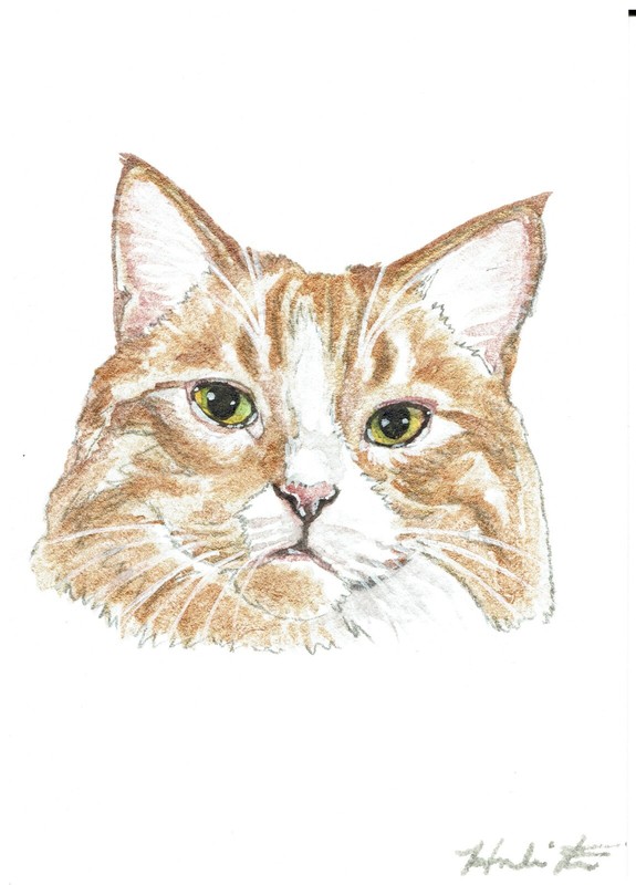 ACEO Original Watercolor Painting 2.5″ x 3.5″ Orange Tabby Kitty Pet Portrait
