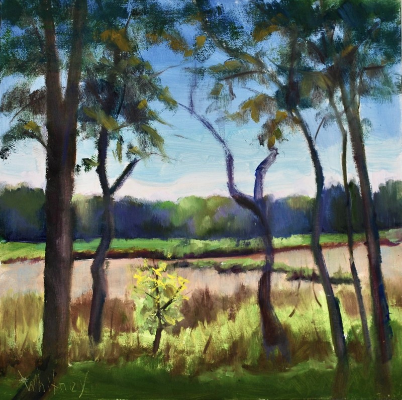 Midwest Landscape, Cuba Marsh, Illinois Original Oil Painting 10×10″ Whitney