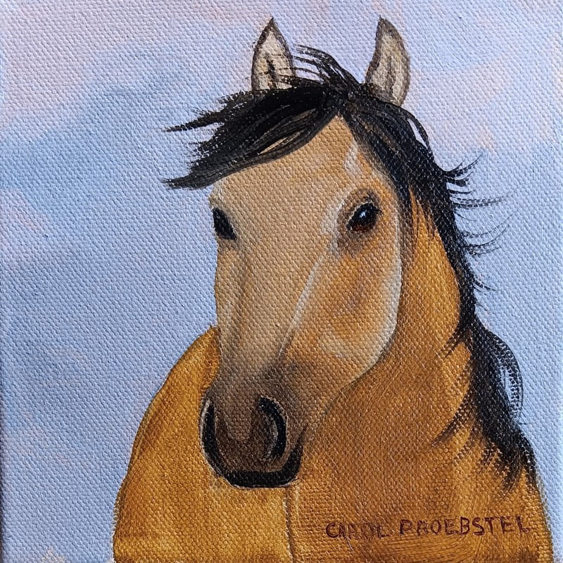 Original oil painting western horse buckskin dun Kieger mustang Carol Proebstel