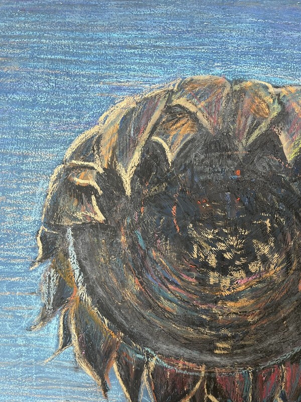 "2014 year. Sunflowers " ORIGINAL OIL PASTEL ART War Ukraine Kharkiv gallery