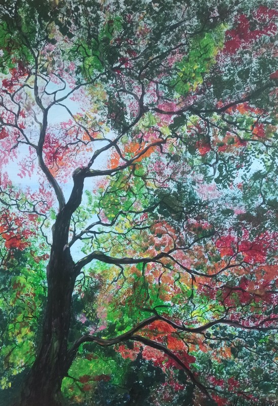 Original acrylic painting on canvas, tree, landscape W50XH70