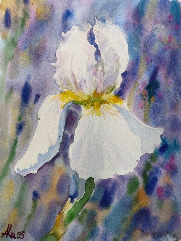 White Iris Flowers Original Watercolor Painting Purple Floral Artwork 9×12 in