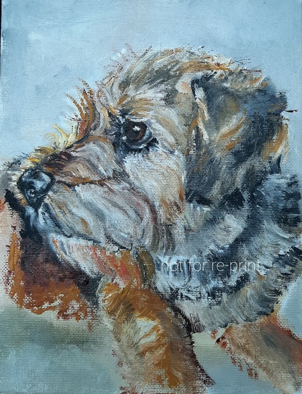 Pet Portrait Original Oil Painting Border Terrier Dog Puppy canine working dogs