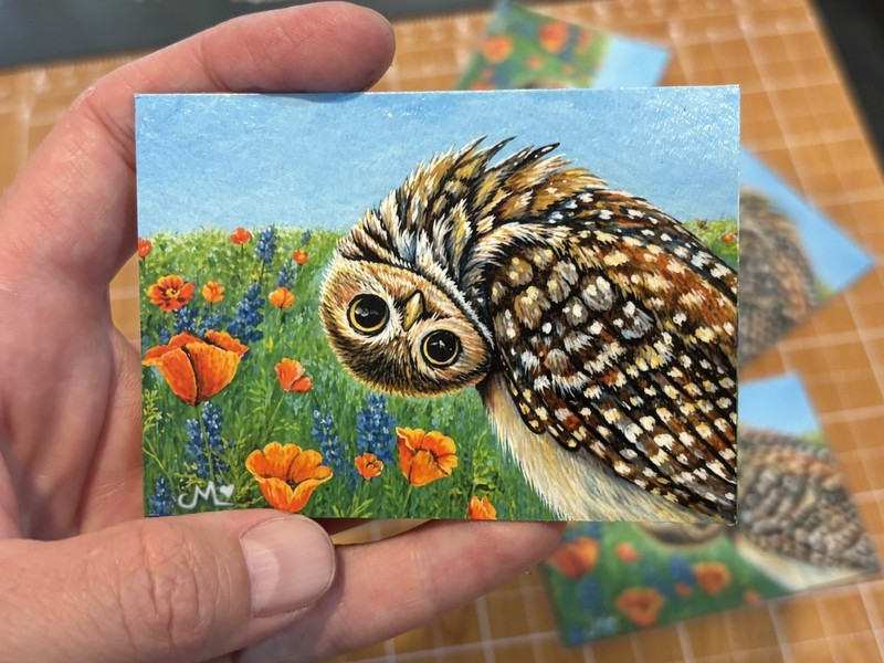Cute Burrowing Owl Art Print Fridge Magnet Bird Lover Gift ACEO Mini Painting