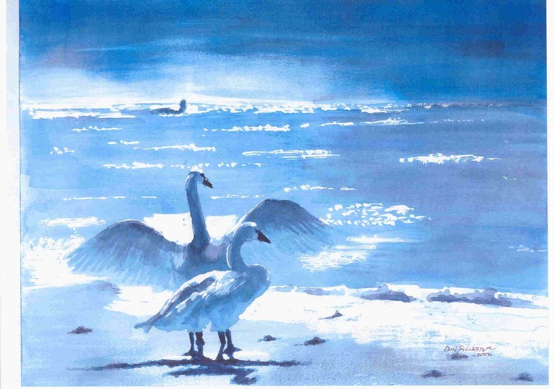 Swans At Twilight, Beautiful Swans, White Swans Art, Swan Wall Decor, Swan Art