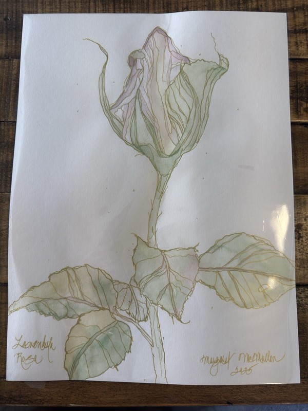 Original Watercolor Lavender Rose Botanical Art Delicate Gold-Outlined Bloom9x12