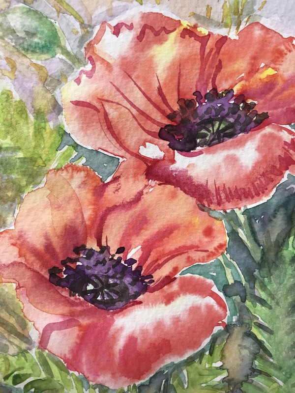 Orange Red Poppy Flowers Wall Art. Floral Watercolor Painting 9"x12" gallery