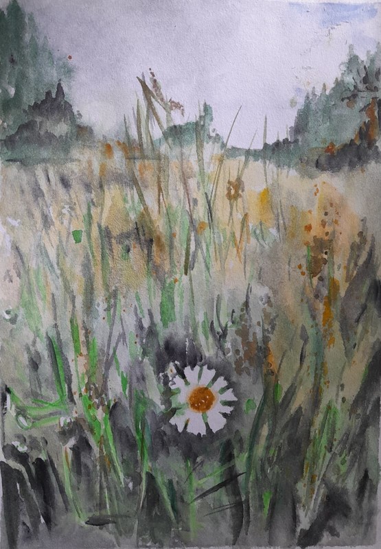 Arisa Strazds - "In the Meadow" - Daisy Floral Watercolor Painting, 21x30cm