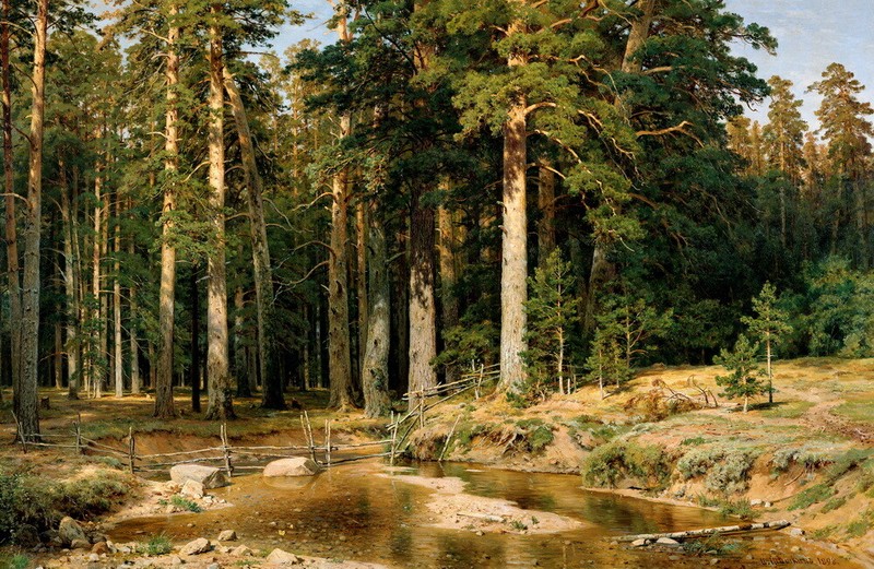 Forest by Ivan Shishkin Art Giclee Printed Oil Painting Print