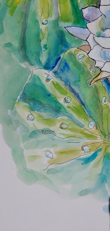 Bee Succulent Blooming Cactus Original Watercolor Painting~ RAMfish Artist gallery