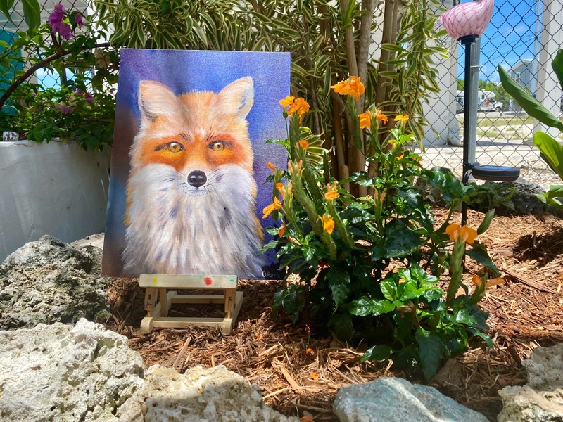 Red Fox Wall Art Original Oil Painting Wildlife Animal Decor 12x16 Canvas gallery