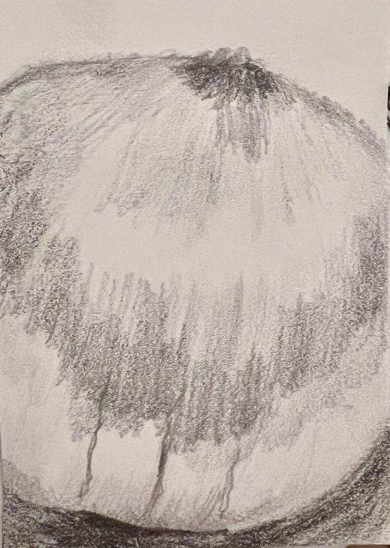 aceo OOAK original trading card by MaryAnn Lucas sketch onion