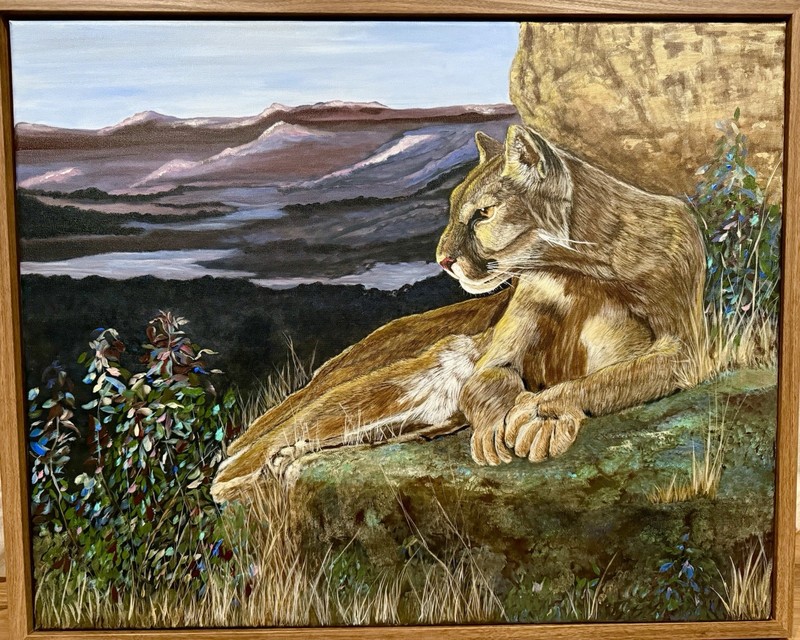 Mountain Lion On Canvas Original By Arkansas Artist Leah Smith