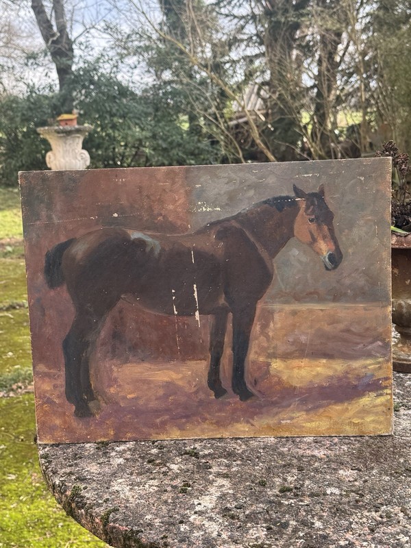 Study Of Horse - Painting End Of The 19th Century - Horses - Equestrian
