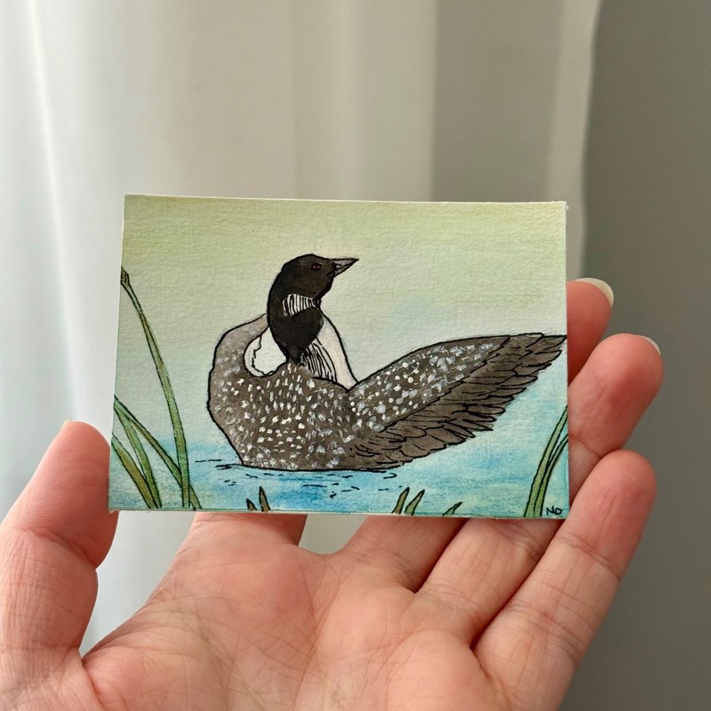 ACEO Original Gouache and Ink Illustration Loons 1/9 2.5×3.5 by Nicole Ouradnik