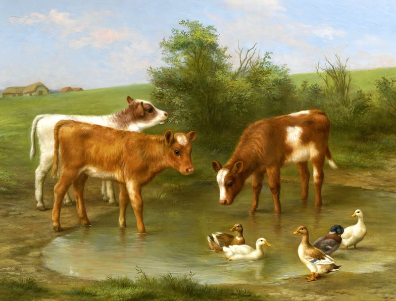 Farm calves drink water oil painting Giclee art HD Printed on canvas L3488