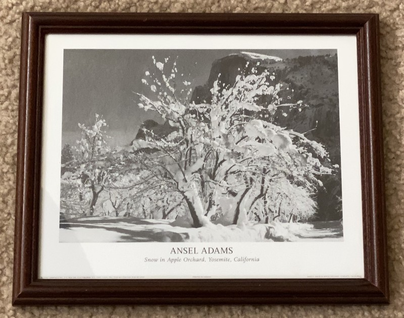 Ansel Adams Snow in Apple Orchard Yosemite California Framed Print 9″x11″