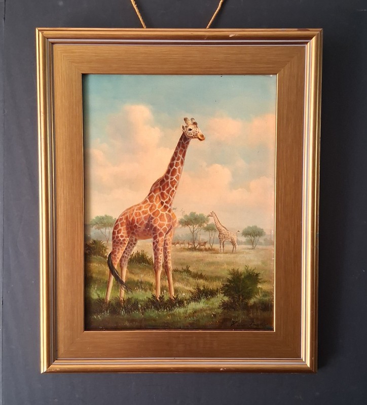 Rare, Rare, Rare! 19th C. Oil on Board of Giraffes by Hilton Pratt