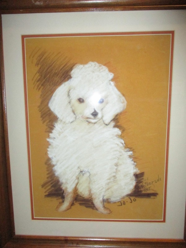Wonderful Else Nethersol Framed Pastel Painting Poodle Jo-Jo 1985 gallery