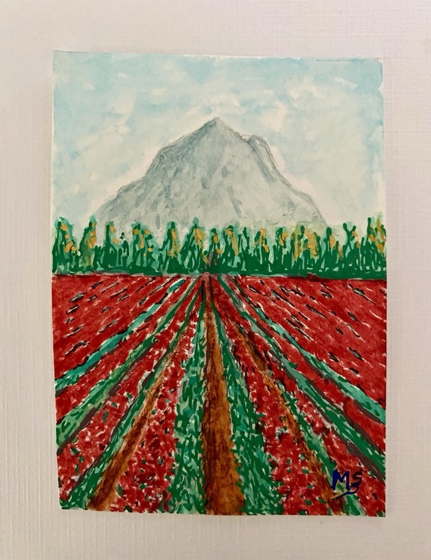 ACEO Mount Rainier and Tulips Field Original Painting Tulips Art Miniature Art