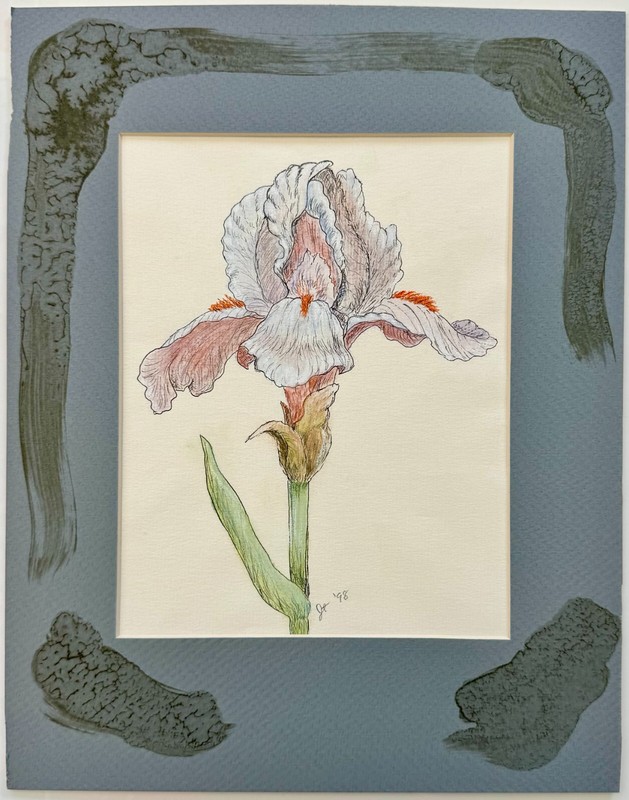 1998 Iris Flower Floral Still Life Illustration 14x11 Inches Painted Matte gallery
