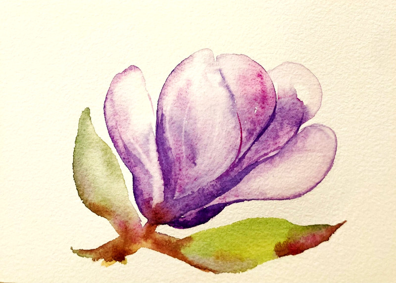 Magnolia Flower Watercolor Original Floral Art Small