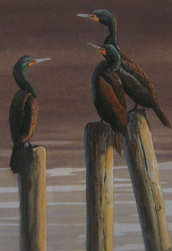 VINTAGE ROBERT BARRETT *3 CORMORANTS* BIRDS PAINTING – LISTED WILDLIFE ARTIST