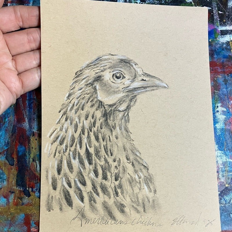 ORIGINAL Chicken Realism Pastel Painting Americana Charcoal Art farm bird EAE