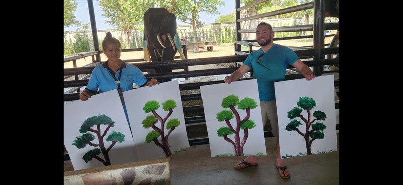 Elephant Painting Painted by Elephants. Large Painting Nature Themed. gallery