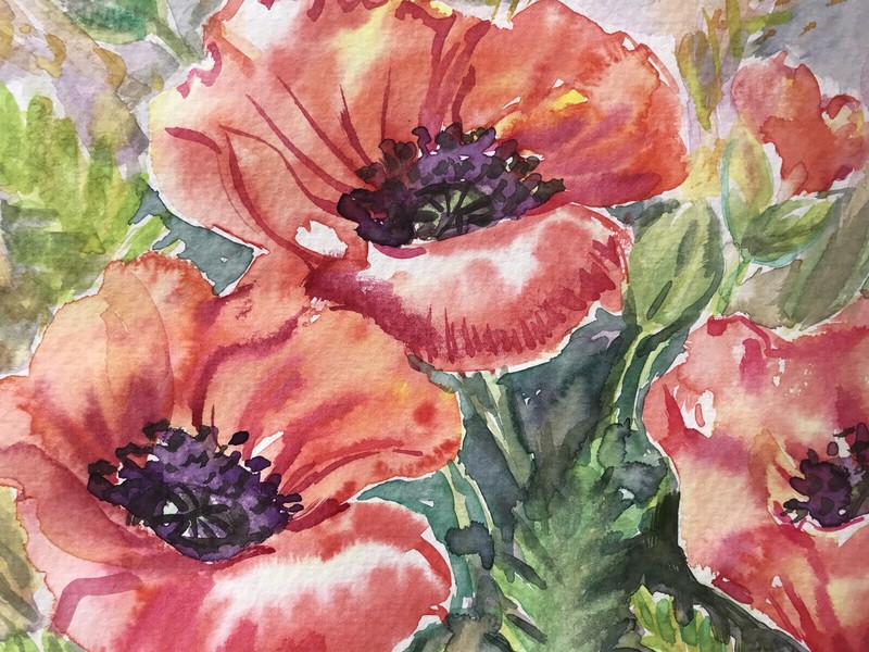 Orange Red Poppy Flowers Wall Art. Floral Watercolor Painting 9"x12" gallery