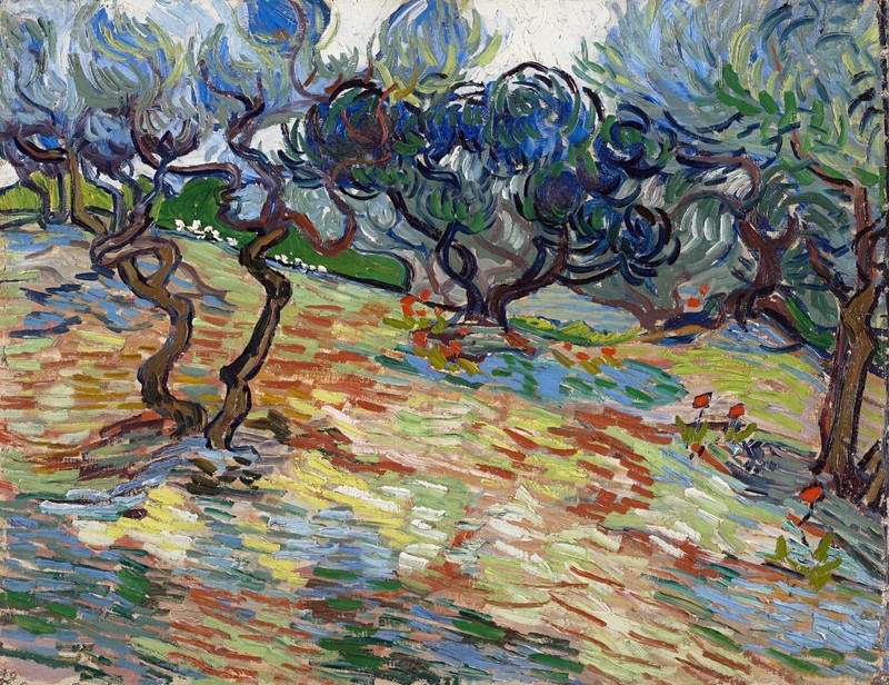 Vincent van Gogh Olive Trees Reproduction – Giclee Canvas/Paper/Stretched