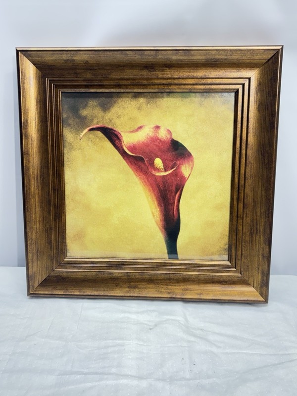 Framed, Crimson Ranunculus, Calla Lilly Quality Picture 16”x16”x2”