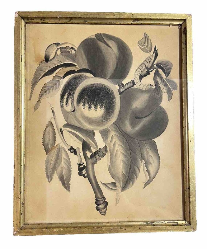 Antique Ink Wash and Watercolor Painting Still Life of Caterpillar on Fruit Tree