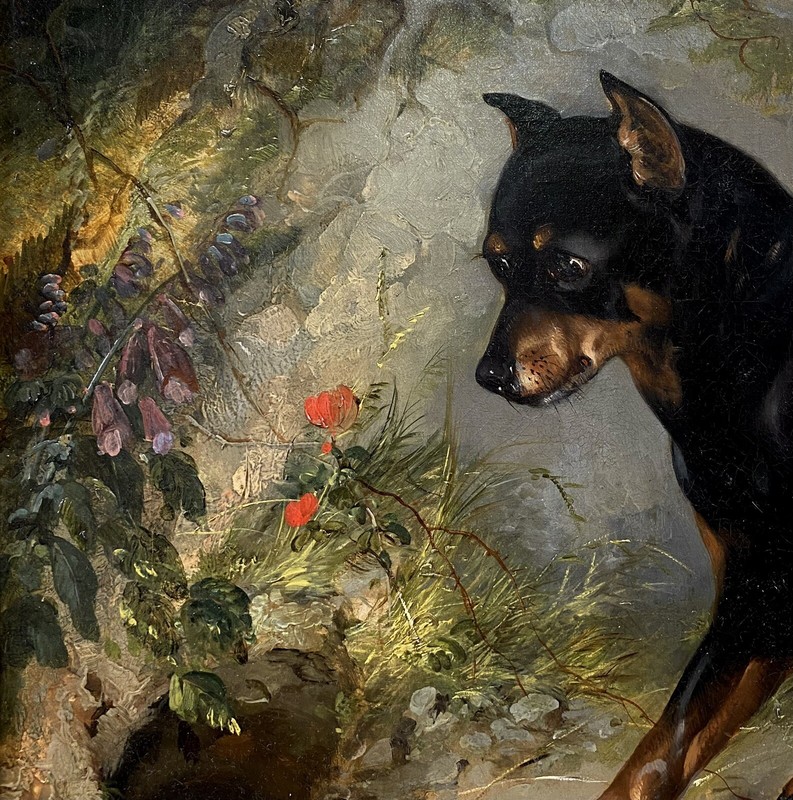 EXCEPTIONAL 1854 George Armfield Portrait of Manchester Terrier in Landscape Oil gallery