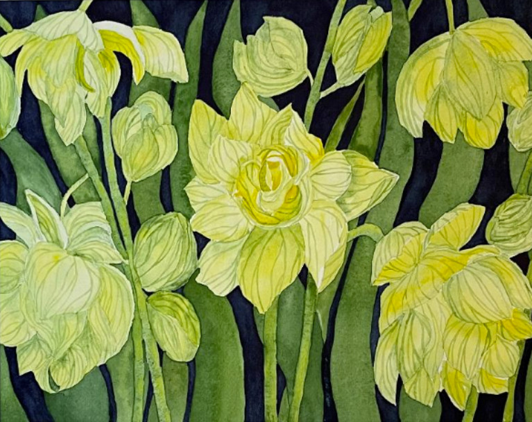 PAINTING WATERCOLOR ART YELLOW GREEN JONQUIL FLOWERS 11X14 & 16X20 DOUBLE MAT