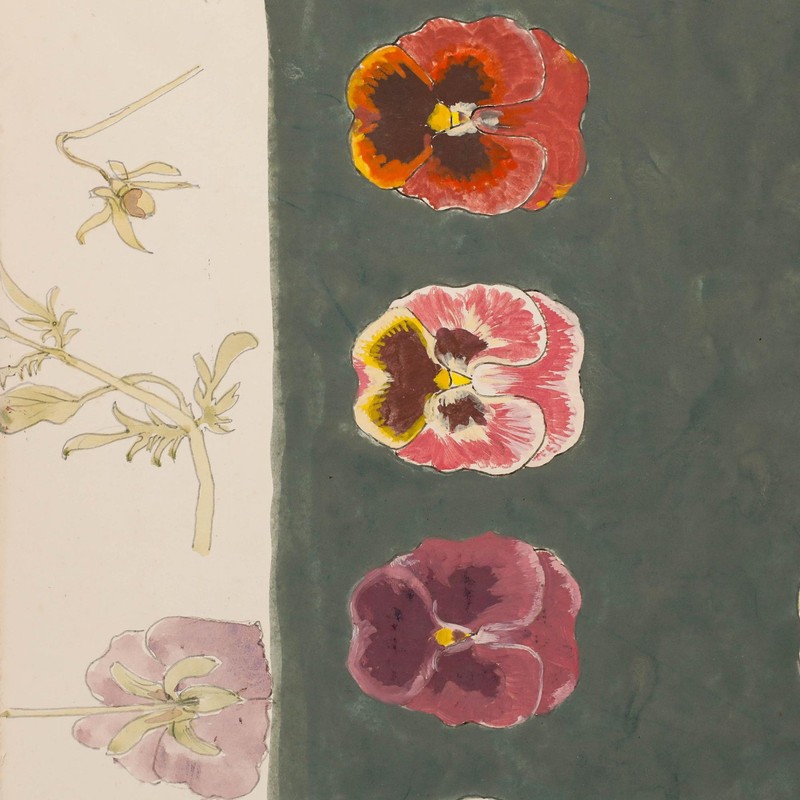 Leslie Charles Boyce - Mid 20th Century Gouache, Pansies gallery