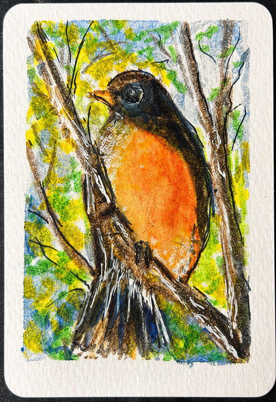 ACEO Original Robin Painting Miniature Art By Wanda Fitzgerald