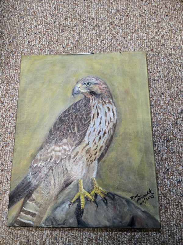 HAWK EYE, Original Fine Art. Oil Paint On CANVAS. 16 × 20 In. gallery