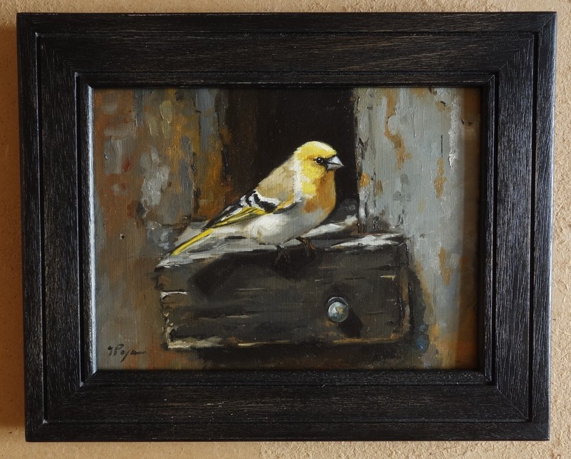 Oil painting of an American goldfinch ? – original portrait by UK artist j payne