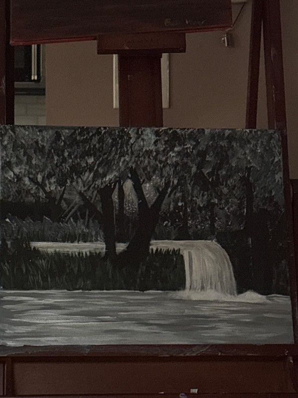 Waterfall in the Forrest gallery