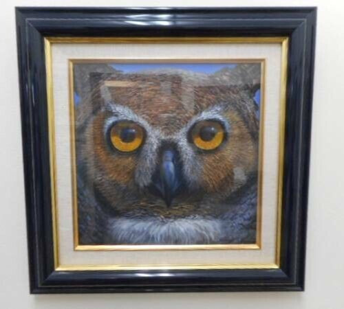 Charles Lynn Bragg – Owl Unique Original Acrylic Painting Signed Framed