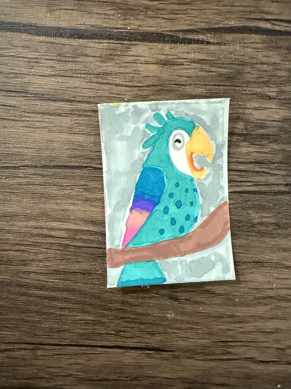 ACEO Macaw Parrot Bird Painting Acrylic Watercolor Tropical Wildlife Mini Art