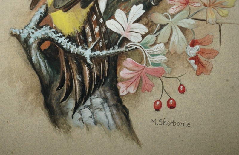 VINTAGE M SHERMORNE SIGNED ORNITHOLOGY WATERCOLOUR PAINTING OF A KINGFISHER BIRD gallery