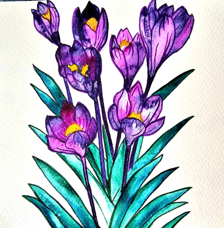 Original Purple Crocus Watercolor Painting 8×8 Floral Wall Art Spring Flower