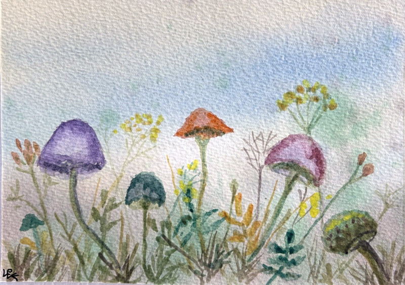 Original Watercolor Painting Mushrooms Meadow Forest Floor Nature Signed 5×7