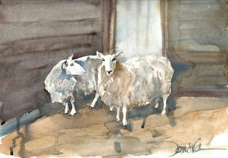 Homegrown Goats : SIGNED LE Art Print: Sandra Watercolors™ California
