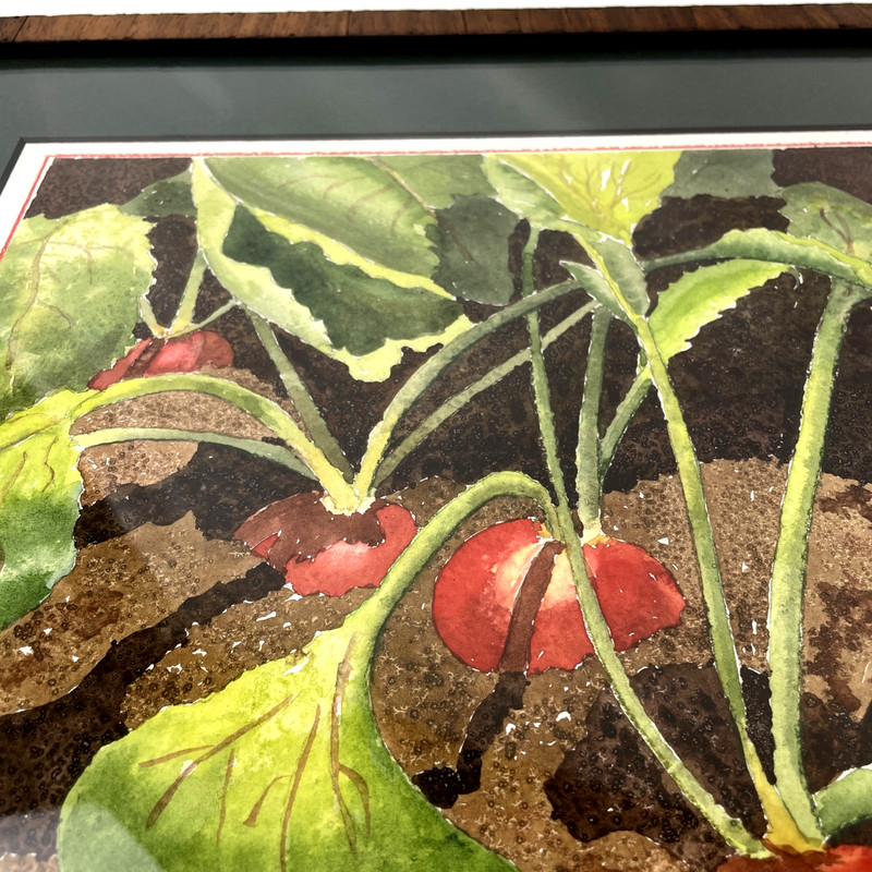 Original Radish Garden Watercolor Painting Framed Kitchen Art Farmhouse gallery