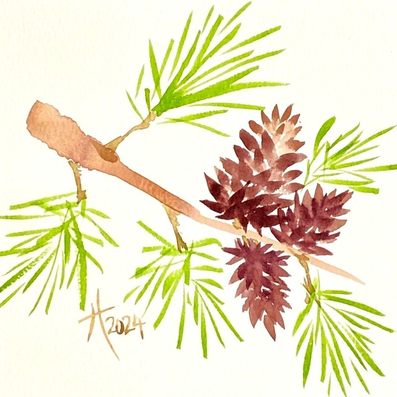 3 Cones Original Watercolor Painting 8x8in White Mat Frame Ready Pine Cone Art